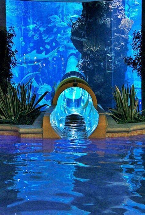 shark tank water slide las vegas.